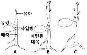 조경기능사 필기 기출문제 44